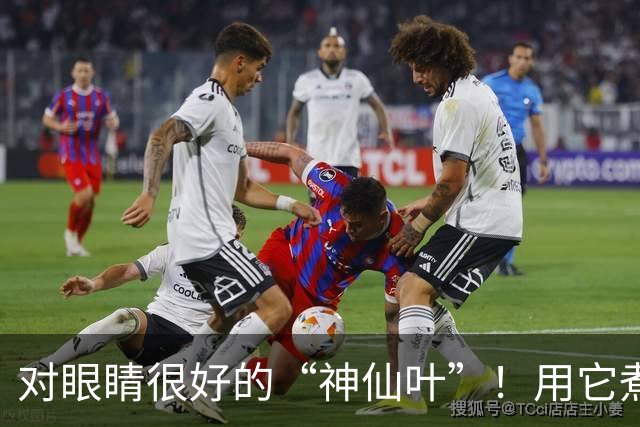 对眼睛很好的“神仙叶”！用它煮水喝，肺也润了，肝也养了，人都显年轻~