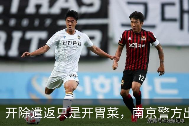 开除遣返只是开胃菜，南京警方出手，军媒发声，麻烦不止陈某一人