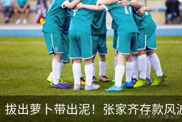 拔出萝卜带出泥！张家齐存款风波发酵，律师发声，母亲或涉嫌违法