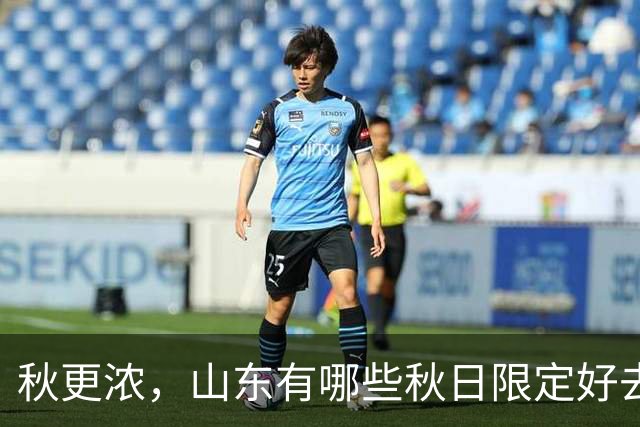 秋更浓，山东有哪些秋日限定好去处？