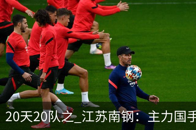 20天20队之 江苏南钢：主力国手升级回归 江苏女篮继续向上冲击